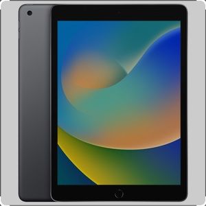 Apple IPad 9th Generation Silver and Black